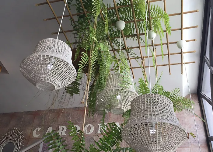 Residencia Cardona Arrecife (Lanzarote)